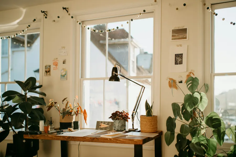 Sala de consulta luminosa con plantas, escritorio y papeles.